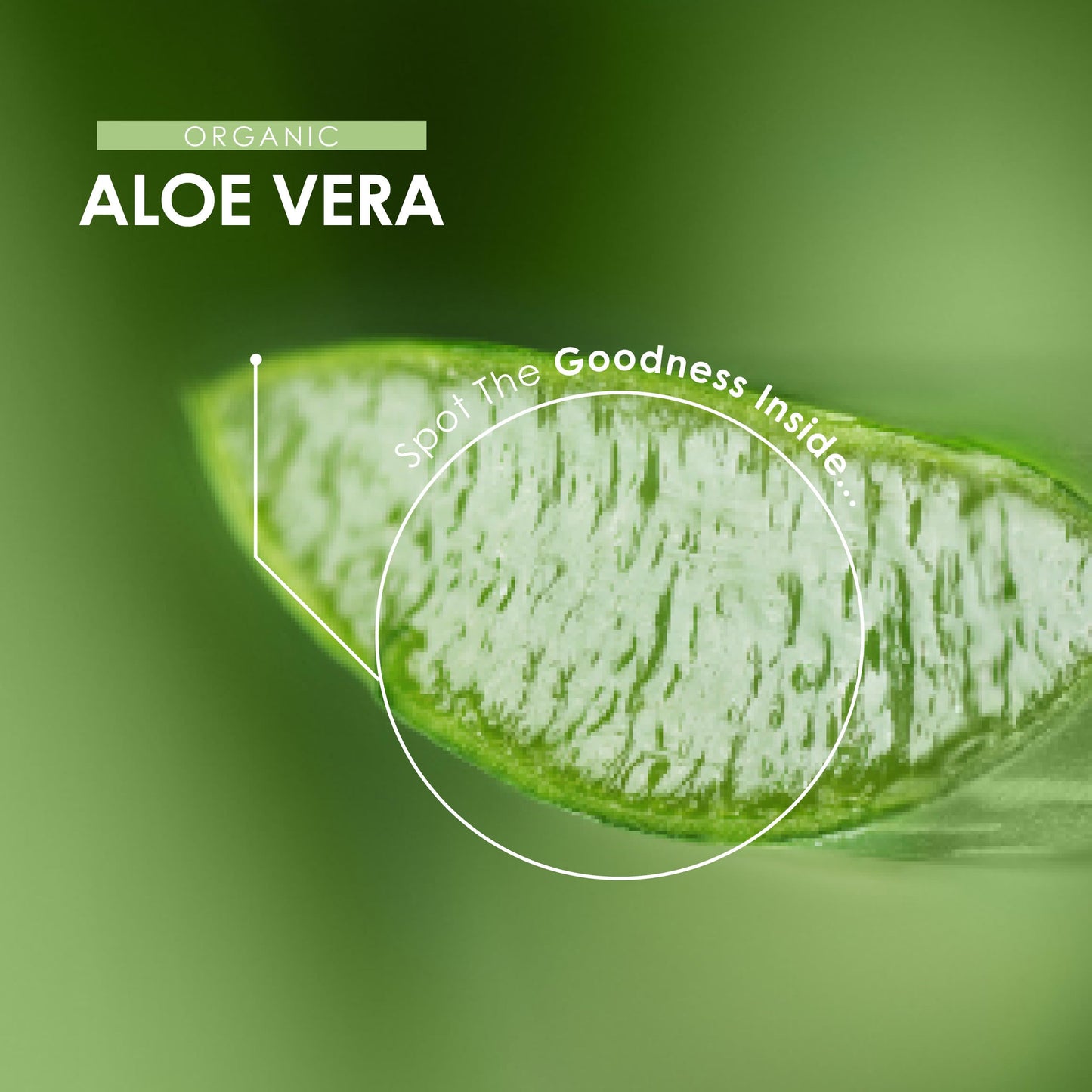 ALPHA01 Organic Aloe Vera Extract 50,000mg - High Strength 25mg Aloveros Supplement - 90 Vegan Capsules (3 Months Supply) - Resealable and Recyclable Pouch - by Alpha01
