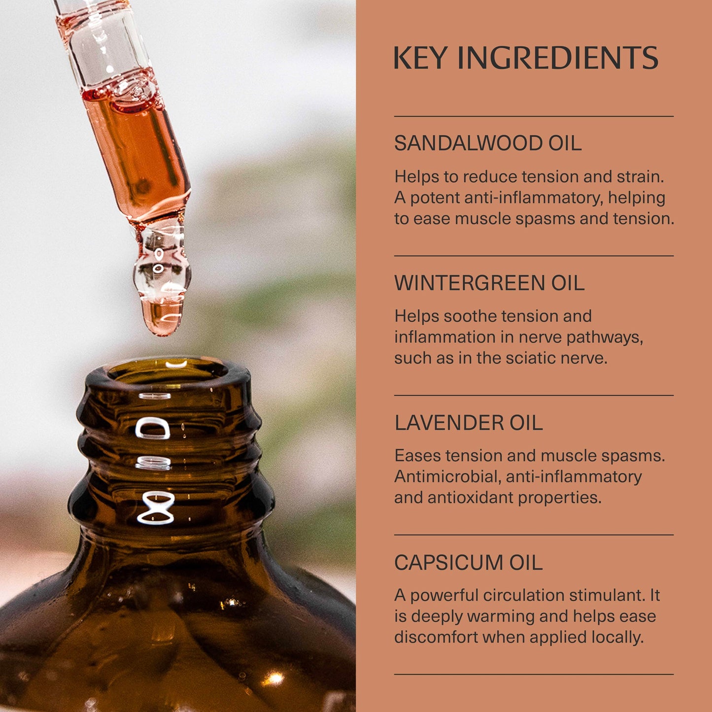 ZEN MAITRI Nerve Oil – Natural Herbal Massage Oil for Sciatic Nerve Tension