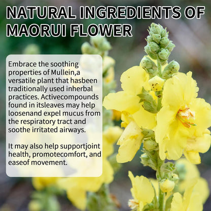 Mullein Drops for Lungs - Non-GMO Mullein Leaf Extract with Chlorophyll for Lung and Respiratory Support