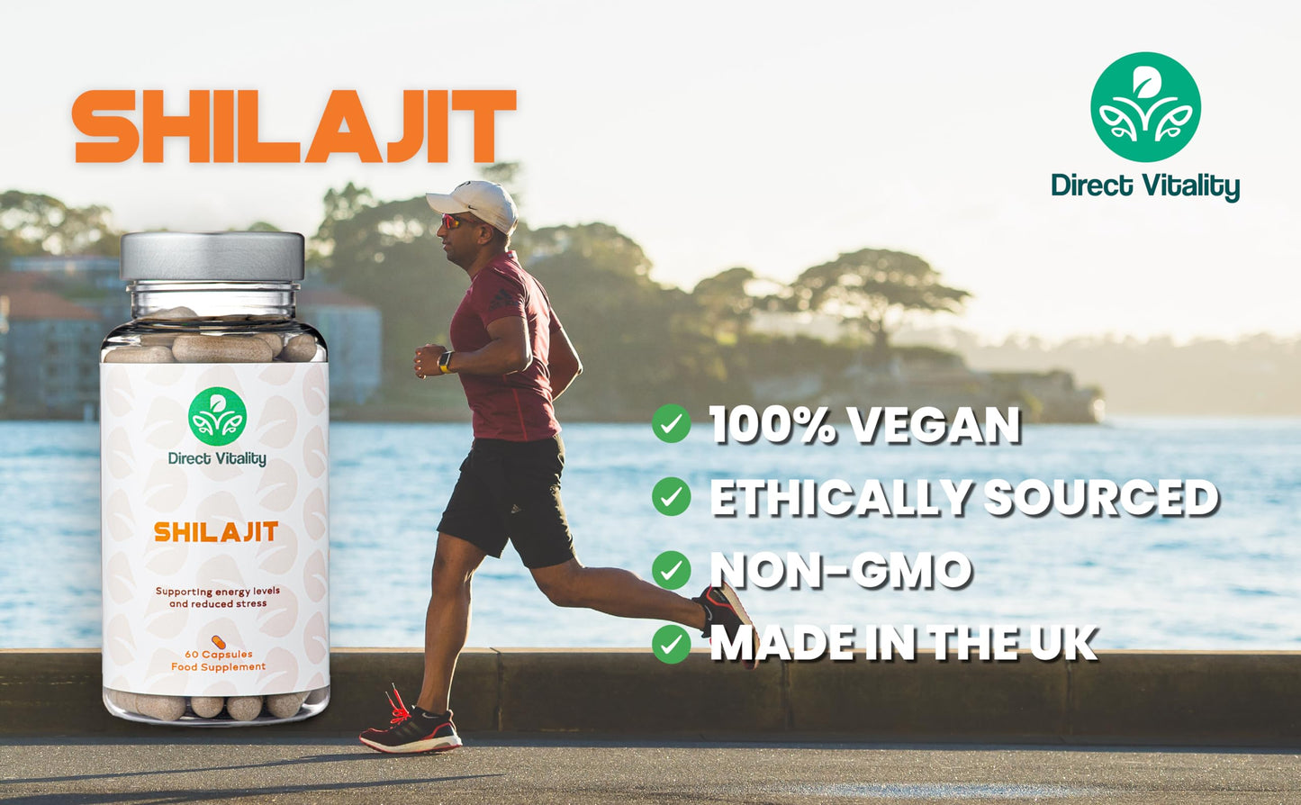 Direct Vitality Shilajit | 60% Fulvic Acid | 2 Months Supply | 700 mg per Capsule | UK Made | No Nasty Fillers | Vegan