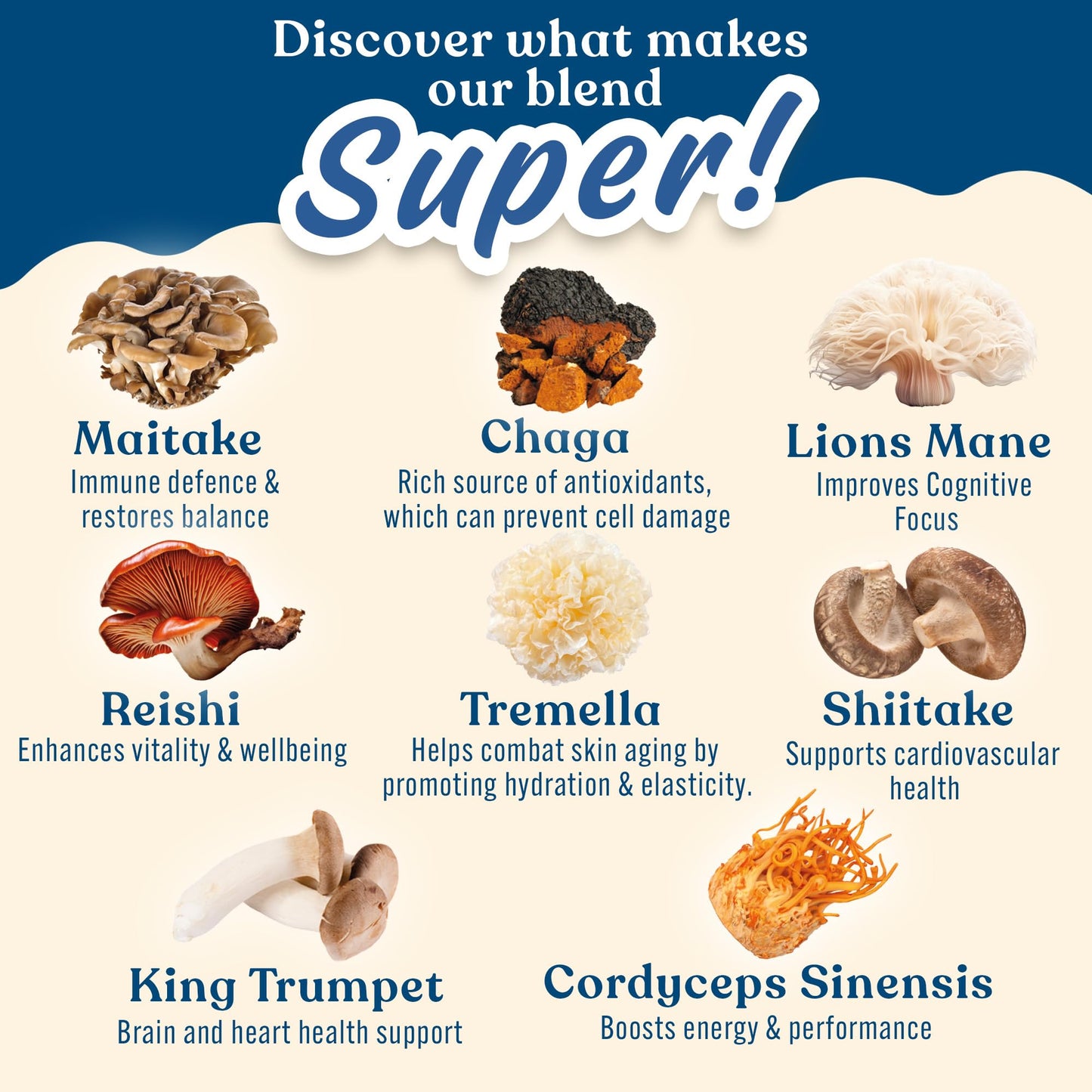 Applied Nutrition Mushroom Superblend - Lions Mane, Reishi, Chaga, Shiitake, Maitake, Tremella, Cordyceps Sinensis, King Trumpet | Vegan & Gluten Free (160g – 40 Servings)