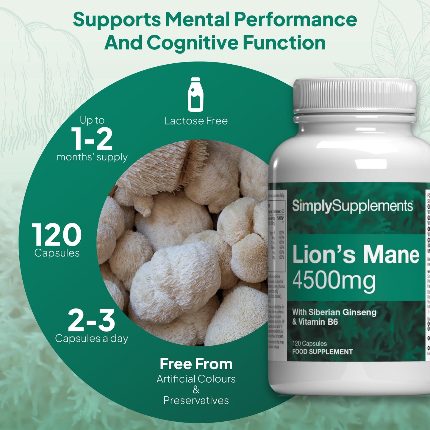 Lions Mane Capsules with Added Siberian Ginseng and Vitamin B6 | 120 Capsules | Vegetarian & Vegan Friendly