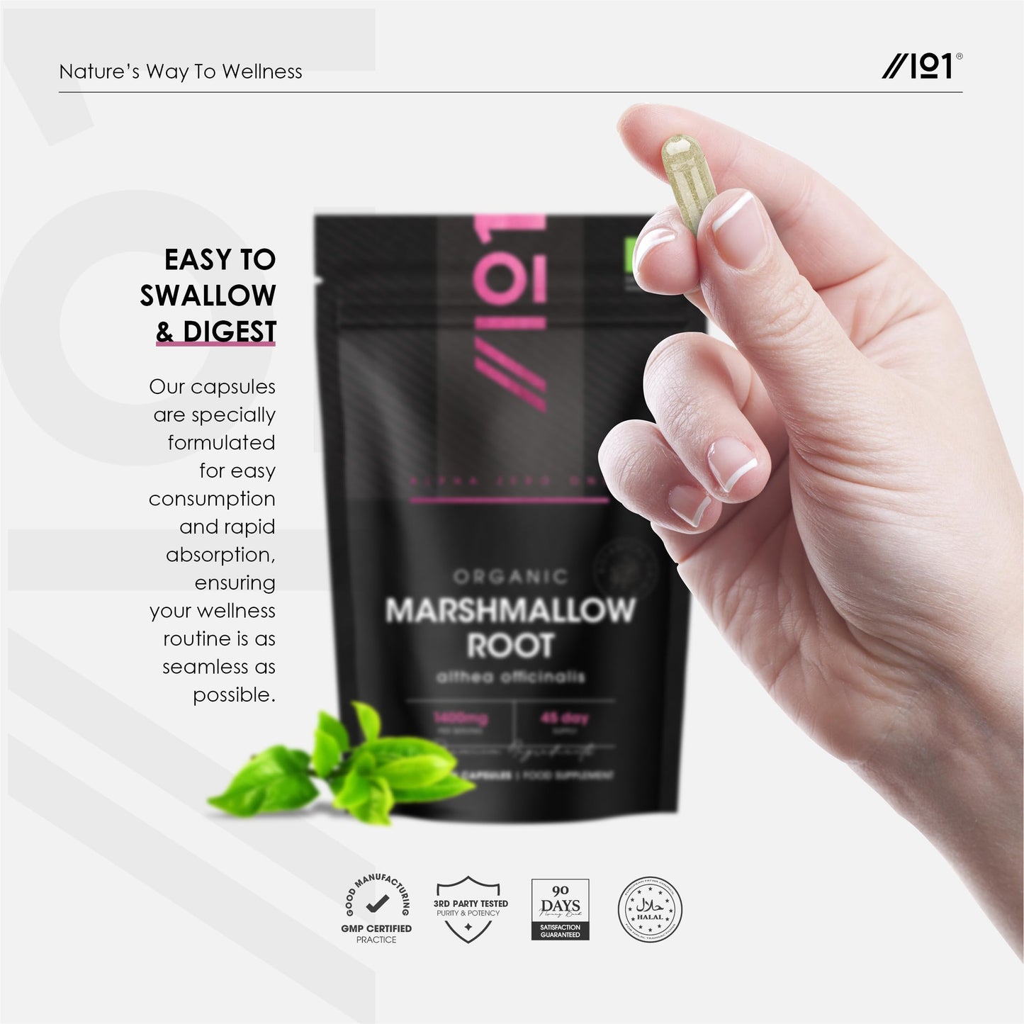 ALPHA01 Organic Marshmallow Root 1400mg - 90 Vegan Capsules - Potent Althea Officinalis Supplement - 45 Day Supply - Resealable and Recyclable Pouch - By Alpha01