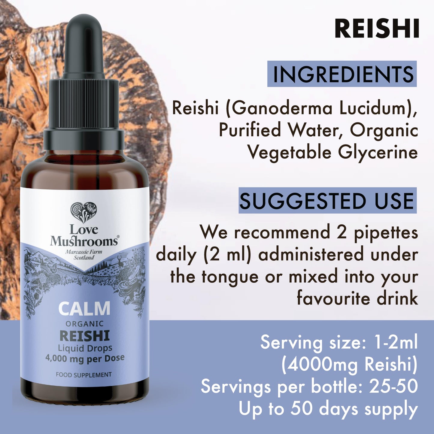 Love Mushrooms - Organic Reishi Mushroom Tincture - 50,000mg - Restfulness and Essential Balance Support - Vegan and UK Made Brain Supplement - Natural Colours and Flavours - 50ml Tincture