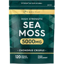 Sea Moss Tablets 5000mg | 120 Vegan Tablets | High Strength Sea Moss Extract | Carlyle