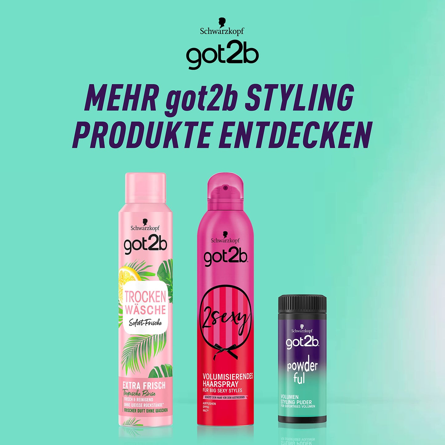 got2b Schwarzkopf Powder'ful Hairline Powder Volume, Pack of 1 (10 gm)