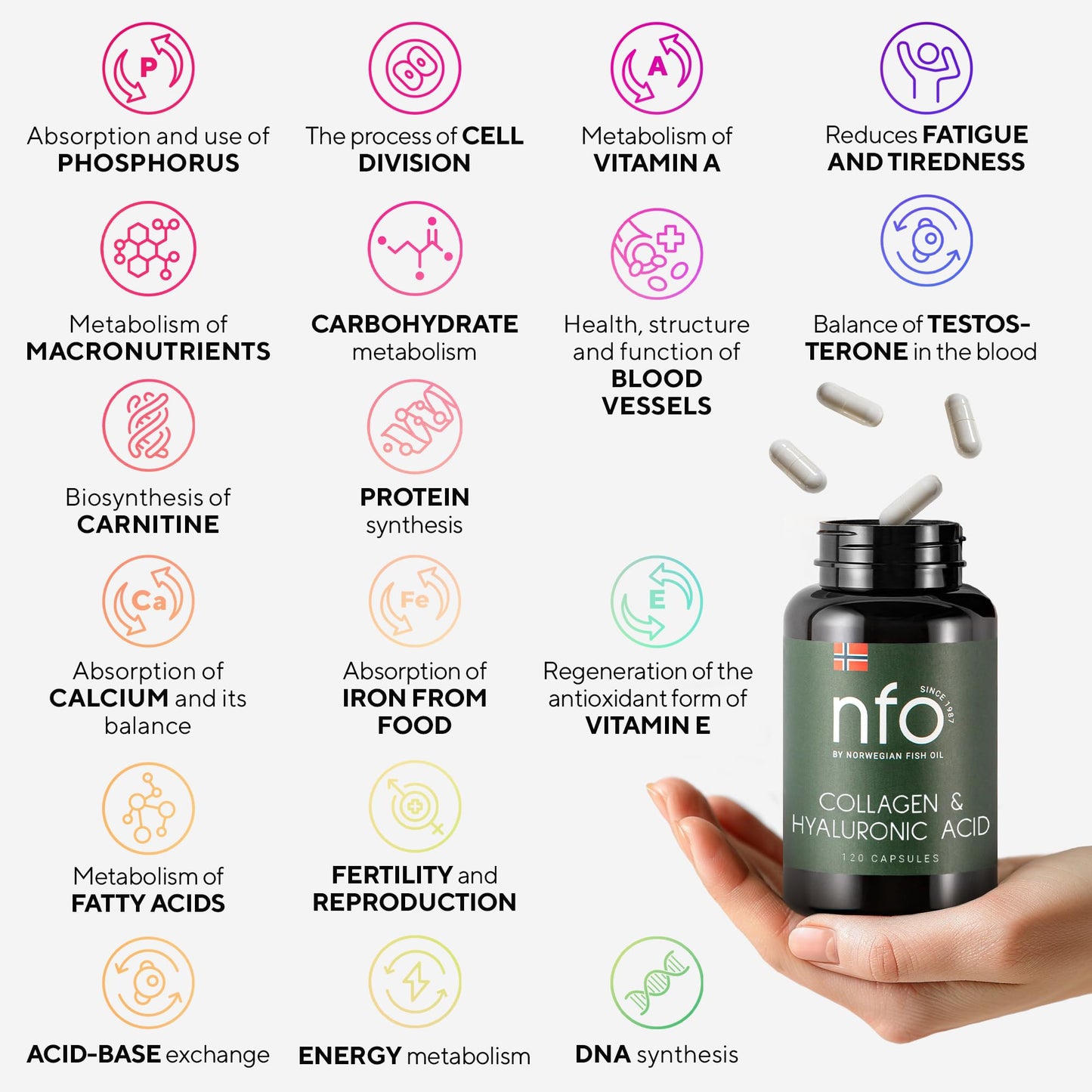 NFO Collagen & Hyaluronic Acid [120 Capsules] Natural High-Dose Complex of Fish Collagen, Hyaluronic Acid, Vitamin C, Biotin, Zinc for Healthy Skin, Hair, Nails, Teeth, Made in Finland