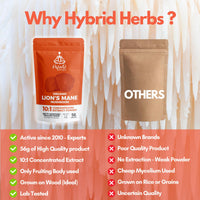 Hybrid Herbs HYBRID HERBS Organic Lion's Mane Mushroom Powder 56g - 10:1 Extract | Nootropic Brain Supplement for Focus, Memory & Concentration | High in Beta Glucans & Hericenones | Vegan | 56 Servings