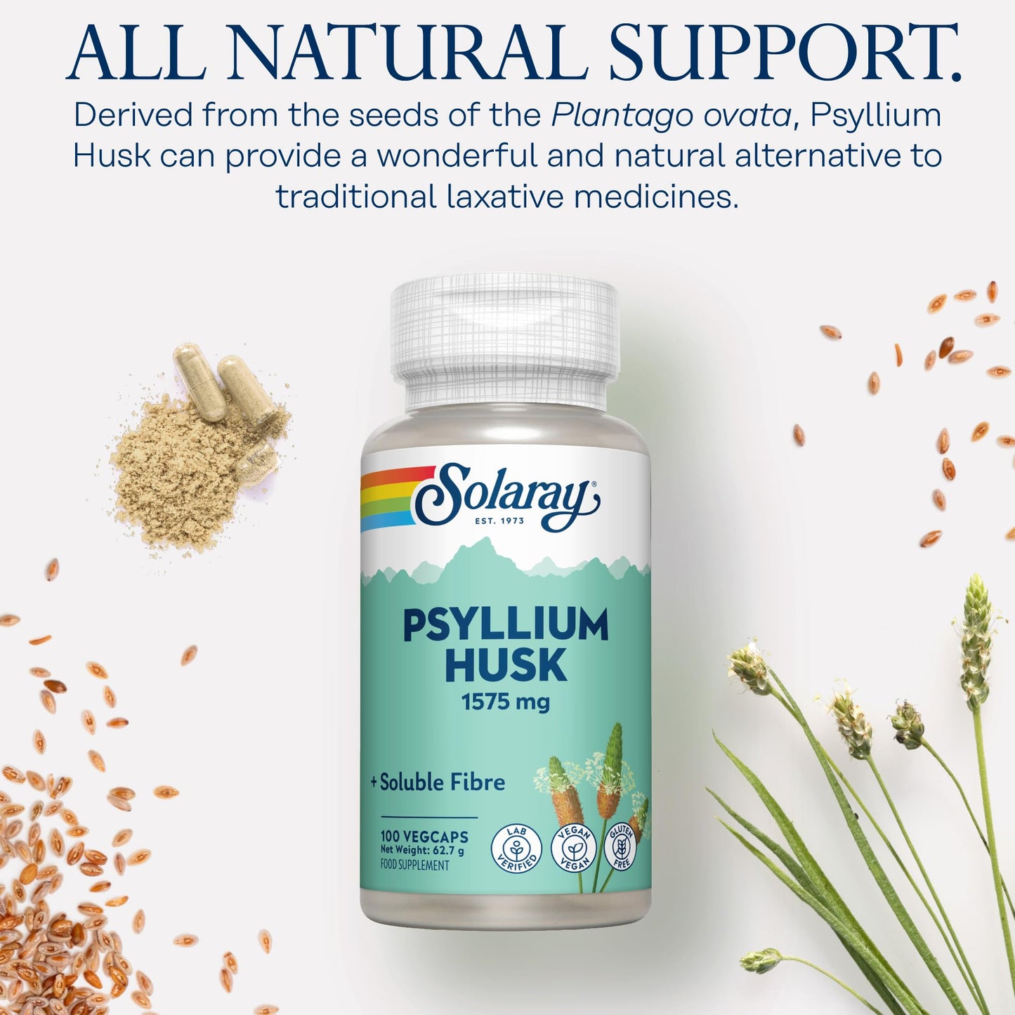 SOLARAY Psyllium Husk - 100 Vegan Capsules not Powder - Fibre Supplement - Natural Soluble Fiber from Plantago Ovata - High Strength Physillan Husk - Lab Verified - Solaray