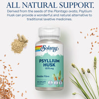 SOLARAY Psyllium Husk - 100 Vegan Capsules not Powder - Fibre Supplement - Natural Soluble Fiber from Plantago Ovata - High Strength Physillan Husk - Lab Verified - Solaray