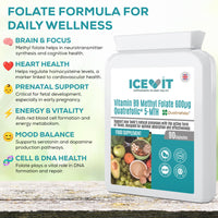 ICEVIT Methyl Folate 600µg – Quatrefolic® 5-MTHF | Active Vitamin B9 Supplement | Bioavailable Folate | 90 Vegan Capsules | Methylated Folic Acid Alternative | Non-GMO | Made in UK