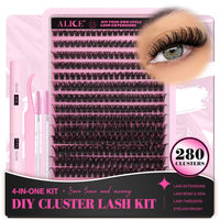 ALICE DIY Eyelash Extension Kit D Curl Fluffy Wispy Lash Clusters Individual Lashes Lash Extension Kit with Lash Bond and Seal Applicator Tool for Self Application at Home (80P-280Pcs-Mix10-16mm-0.07D)