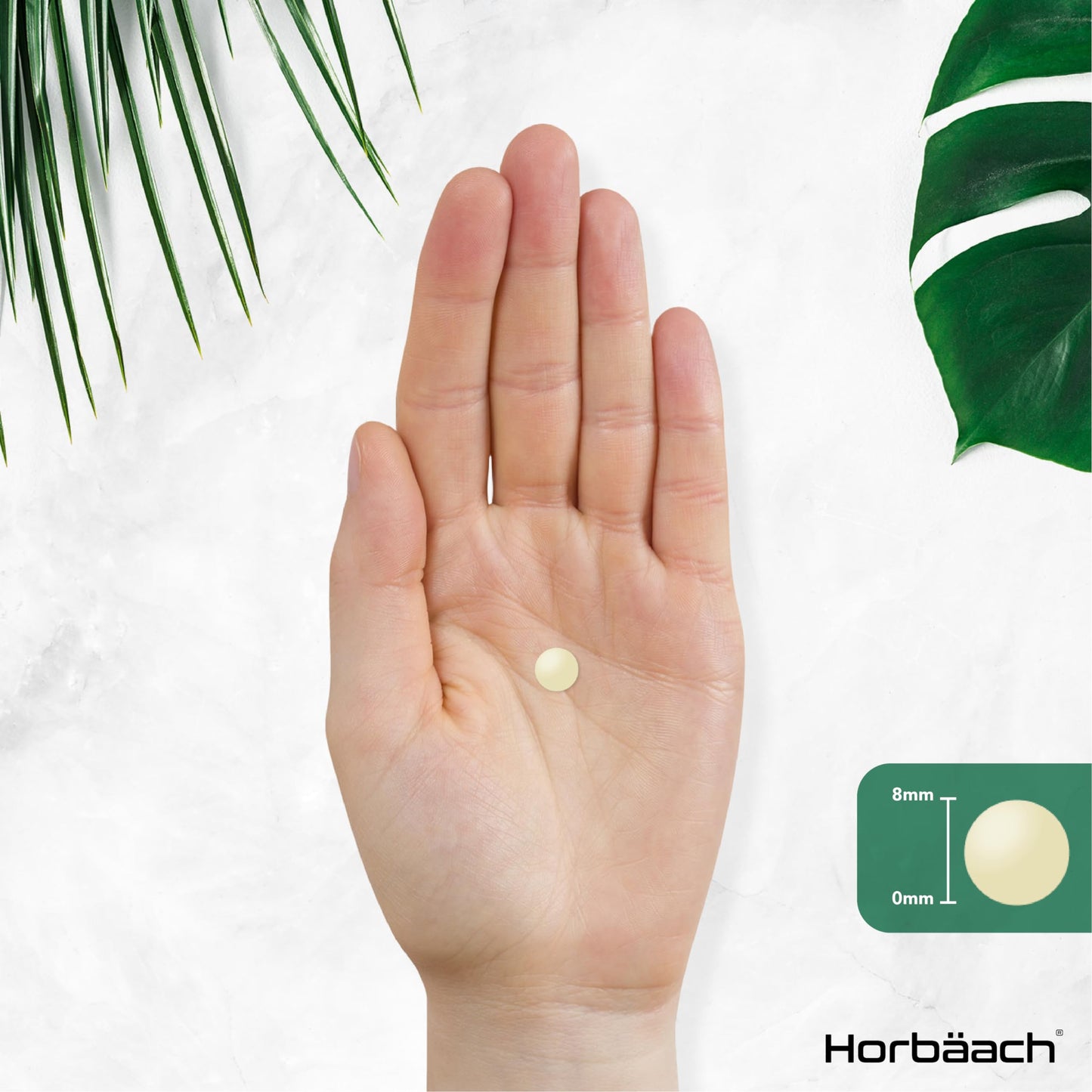 Horbäach Vitamin B Complex | 365 Tablets | 100% NRV of All B Vitamins B1, B2, B3, B5, B6, B12, Folic Acid and Biotin | Vegan Supplement | by Horbaach