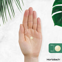 Horbäach Vitamin B Complex | 365 Tablets | 100% NRV of All B Vitamins B1, B2, B3, B5, B6, B12, Folic Acid and Biotin | Vegan Supplement | by Horbaach