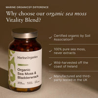 Marine Organics MarineOrganics Organic Sea Moss Capsules - 90 Irish Sea Moss and Bladderwrack Capsules - Iodine Tablets - UK Wild Harvested Seamoss - High Potency