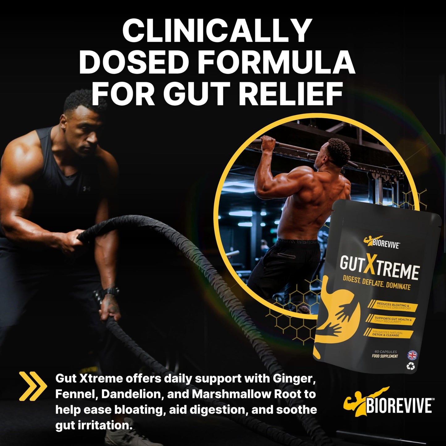 BioRevive Gut Xtreme – Advanced Gut Repair for Men & Women – Bloating Relief, Digestion Support & Gut Cleanse with Ginger, Dandelion, Fennel & Marshmallow – Reduces Water Retention & Soothes Gut Linin