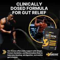 BioRevive Gut Xtreme – Advanced Gut Repair for Men & Women – Bloating Relief, Digestion Support & Gut Cleanse with Ginger, Dandelion, Fennel & Marshmallow – Reduces Water Retention & Soothes Gut Linin