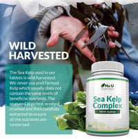 Sea Kelp Iodine Supplement Complex - 365 Vegan Tablets - 435mcg of Iodine per Tablet - 1 Year Supply - Wild Harvested Seaweed - GMO Free - Made in The UK - Nu U Nutrition