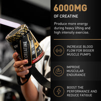 DY Nutrition The Creatine Complex 400g - High Performance Creatine Monohydrate Powder with Beta Alanine, Taurine + B Vitamins for Muscle Endurance, Pump & Recovery x40 Servings (Peach Flavoured)