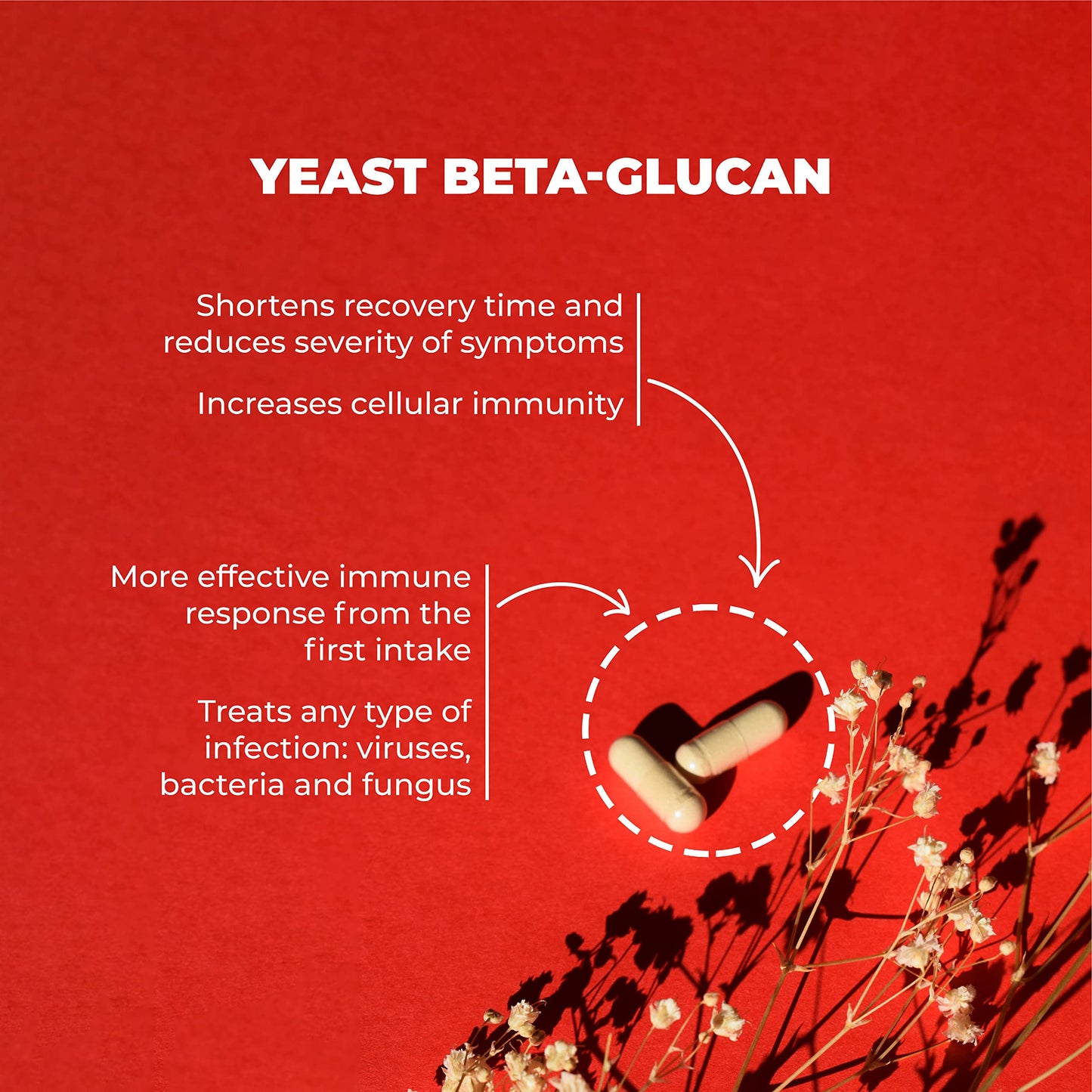 Vitae ImmunoVita 30 Capsules | Yeast Betaglucans, Vitamin D3, Vitamin B6 and Zinc | Activate Defenses | Strengthen The Immune System
