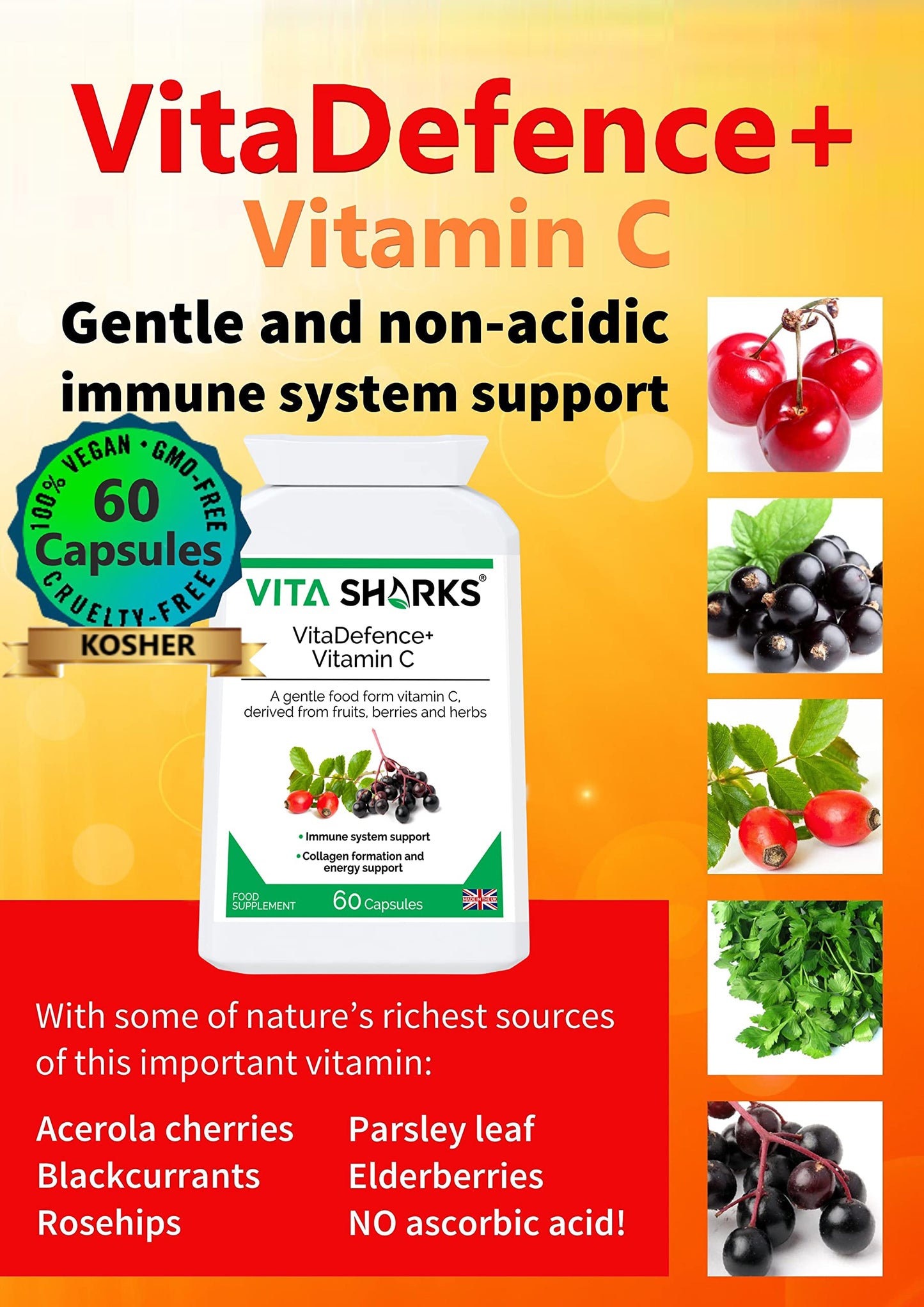 Vita Sharks VitaDefence+ Vitamin C - Bespoke Potent & Comprehensive All-in-One Vegan Anti-Oxidant Formula to Defend, Support & Boost Overall Immunity - Kosher