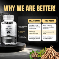Flebo Pure Himalayan Shilajit Gummies - Formulated with Ashwagandha and Zinc- 50% Fulvic Acid- 60 Two A Day Blackcurrant Flavour- Energy, Stress Relief and Immune Support. Vegan and Halal