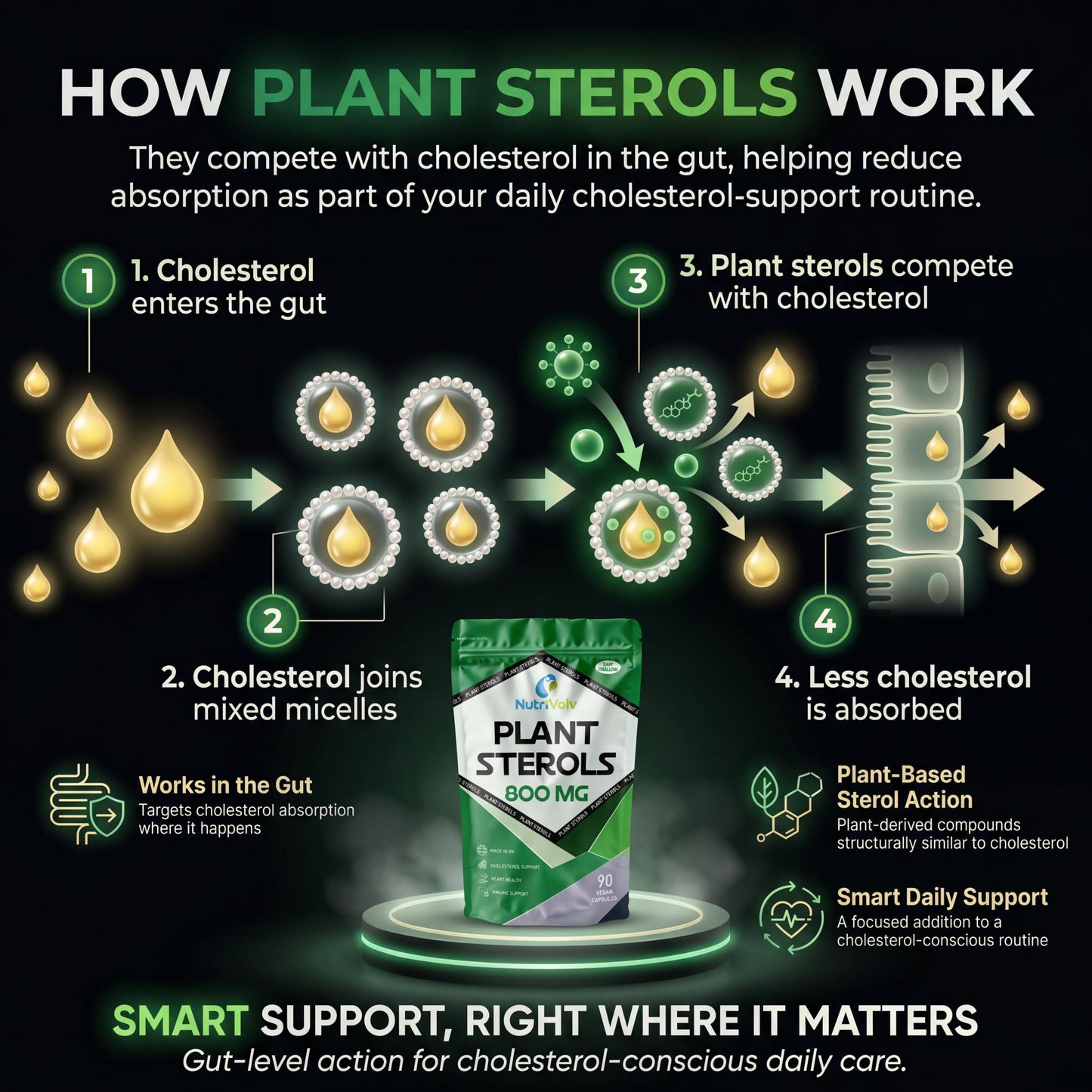 NutriVolv Plant Sterols 800mg Vegan Healthcare Supplements for Heart, Maintains Cholesterol Level and Effectively Boosts Immunity - 90 Capsules