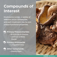 KAAPA Mushrooms KAAPA MUSHROOMS - Shiitake Mushroom Extract Tincture - Potent Ultrasonic Extraction | High Potency Mushroom Supplement for Immunity & Wellbeing | Grown in Finland - 50ml