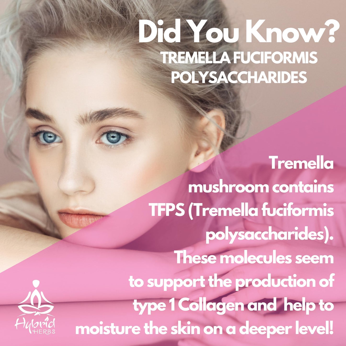 Hybrid Herbs HYBRID HERBS – Organic Tremella Mushroom | 10:1 Extract Powder 113g | Anti Aging Supplement for Beauty & Skin | Rich in Antioxidants, Beta Glucans, Vitamin D & Prebiotic Fibre