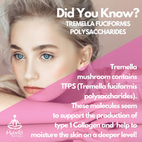 Hybrid Herbs HYBRID HERBS – Organic Tremella Mushroom | 10:1 Extract Powder 113g | Anti Aging Supplement for Beauty & Skin | Rich in Antioxidants, Beta Glucans, Vitamin D & Prebiotic Fibre