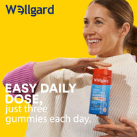 Vegan High Fibre Gummies Wellgard – High Strength Fibre Gummy Vitamins B₆, B₁₂, Biotin, and Folic Acid, Strawberry Flavour, UK Formulated