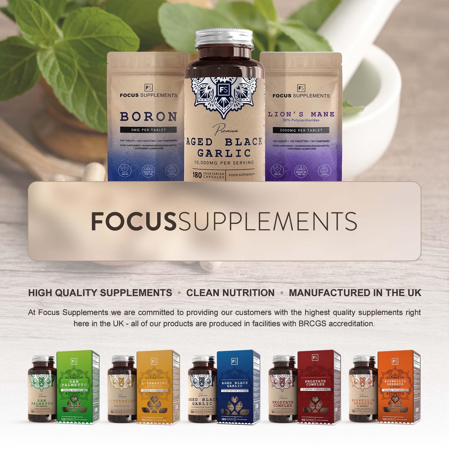 Focus FS Bacopa Monnieri | 120 Brahmi Capsules - 500mg Bacopa Per Serving | Vegan Brahmi Powder Monnieri Capsules | Non-GMO, Gluten & Allergen Free | Manufactured in The UK