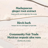 The Body Shop Ginger Anti-Dandruff Shampoo (1x 250ml), Clarifying Shampoo for Dry, Itchy and Flaky Scalp, Vegan Haircare, Suitable for Sensitive Scalps