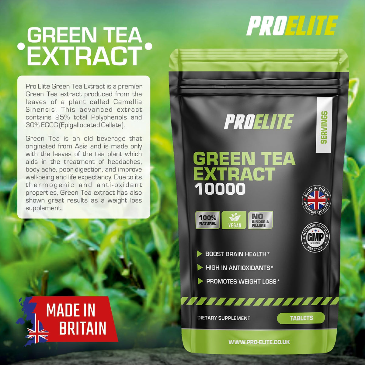 Green Tea Extract 10,000mg of Antioxidant 120 Tablet | 95% Polyphenols (297mg per Tablet) | (4 Months Supply) | Resealable and Recyclable Pouch | Vegan & Vegetarian | by PROELITE