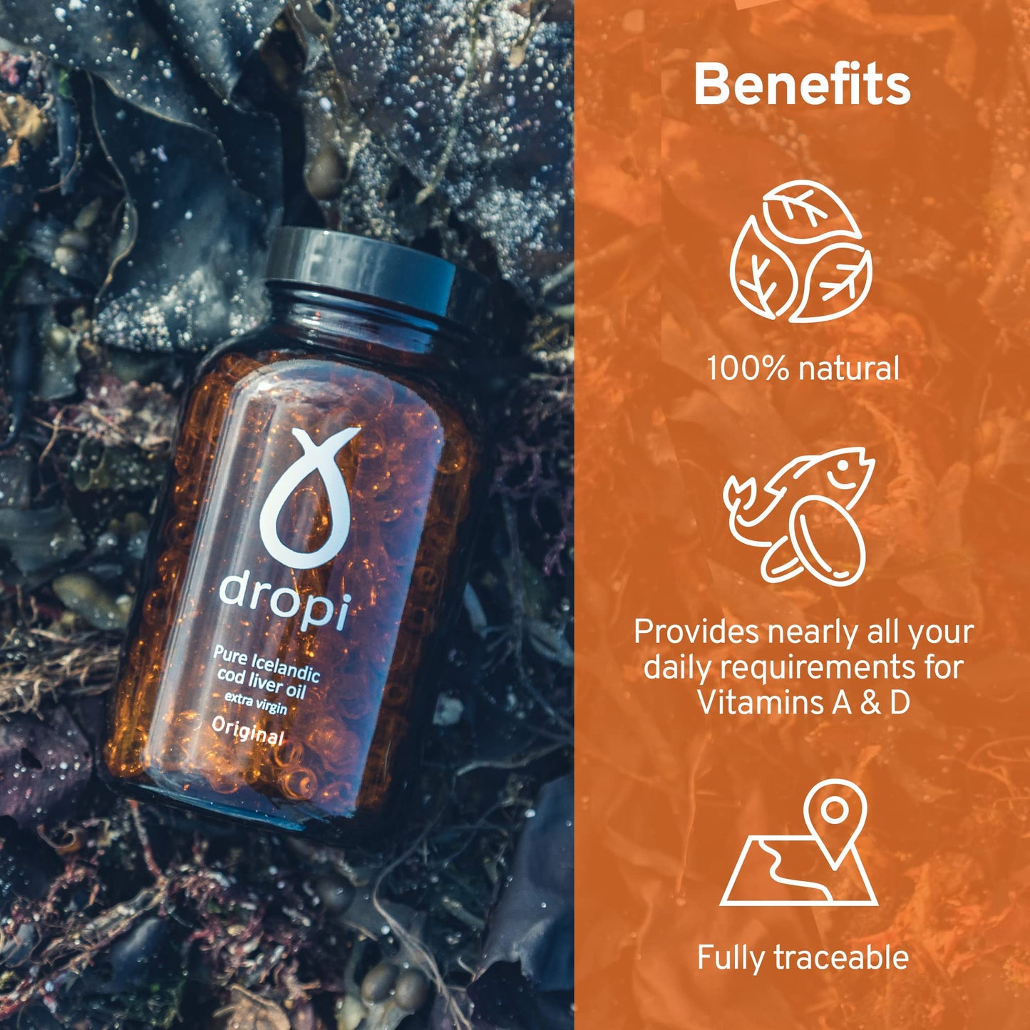 Dropi Icelandic Fish Oil - Extra Virgin Cod Liver Oil (EVCLO) - Natural Source of Vitamin A & D3 - Cold-Processed, Traceable & Pure from the Westfjords Pristine Atlantic Fishing Grounds (60 x 500mg)