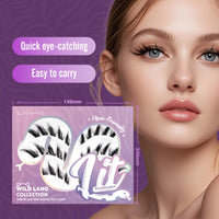 LANKIZ Cluster Lashes,Lankiz Biomimetic Individual Eyelashes Wispy C Curl Lash Clusters Reusable Lash Extensions DIY for Daily Wear and Events（Parseltongue）