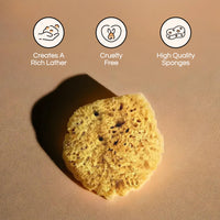 Natural Sponge - Grass Sea Sponge for Bath and Shower | Unbleached Bathing Sponge for Adults & Children (Small (4-4.5"/10-11cm), Pack of 4)