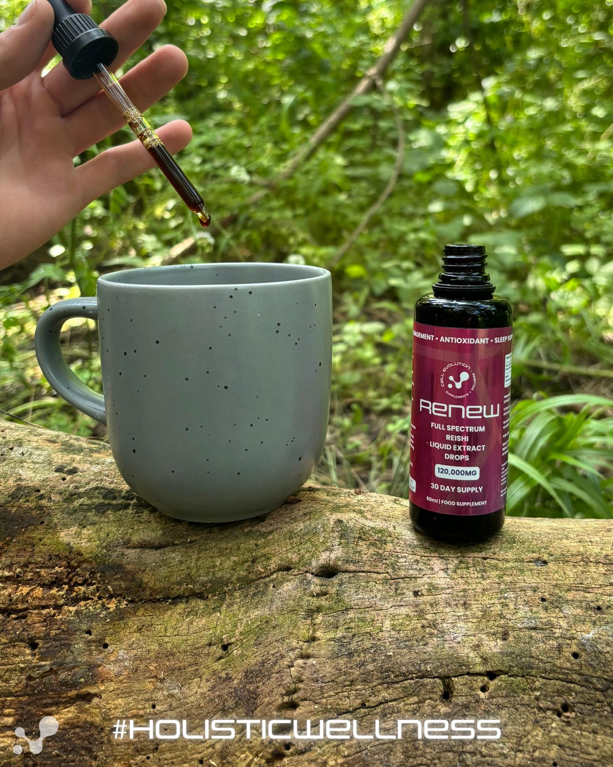 Cell Evolution Reishi Full Spectrum Liquid Mushroom Drops Supplement, Super Strength 120,000mg (20:1), Sleep Support & Stress Management, Natural & Suitable for Vegans & Vegetarians