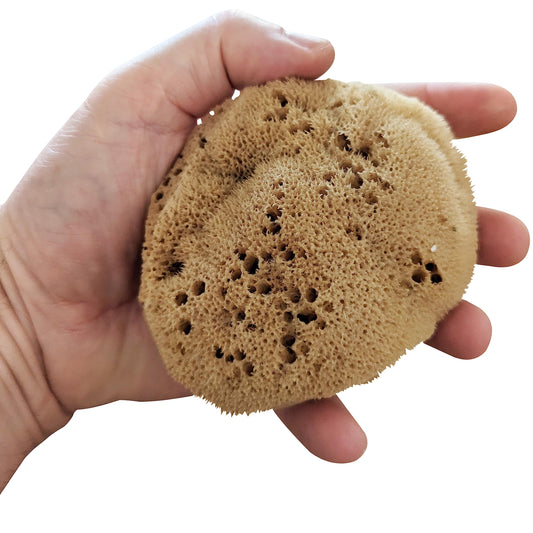 Natural Sea Sponge - Silk Luxuriously Soft Unbleached Bathing Sponge with Super High Absorbancy for All Skin Types (4-4.5"/10-11cm, Pack of 4)