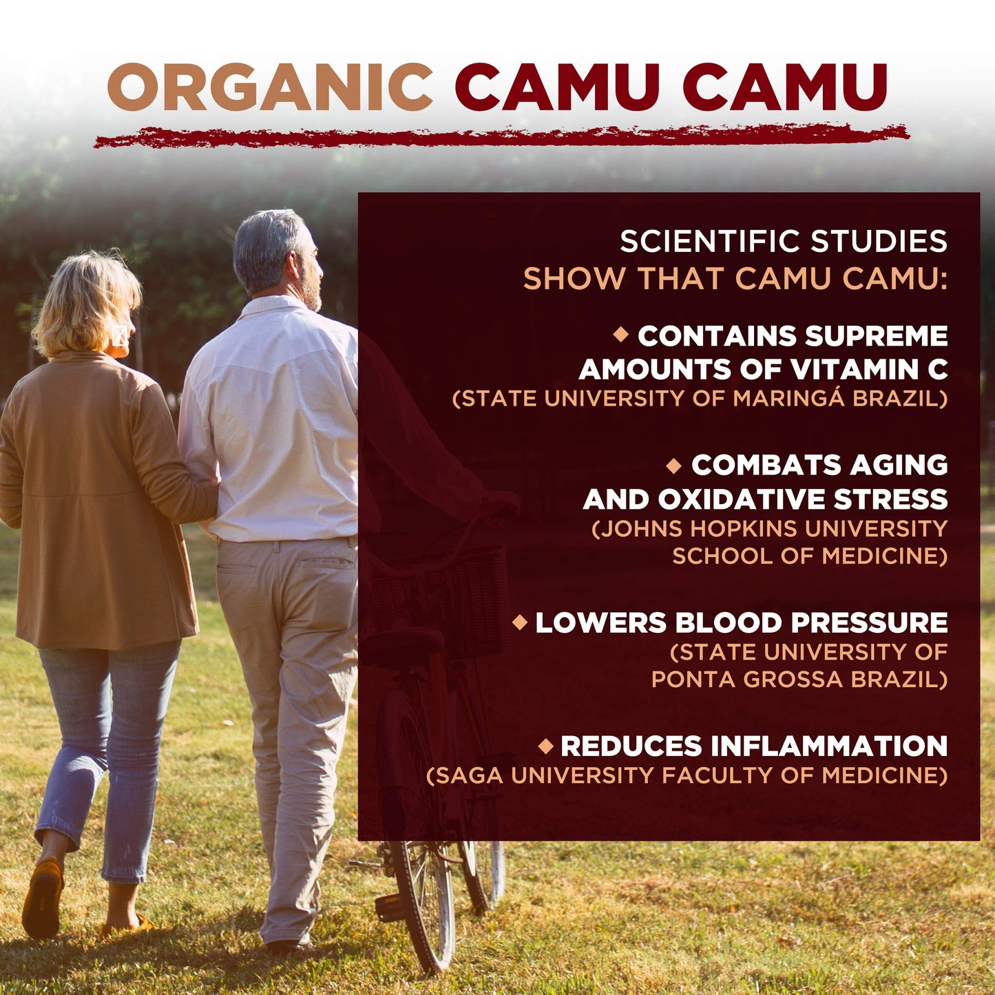MySuperfoods Organic Camu Camu Powder 500g, Natural Wholefood Vitamin C Source
