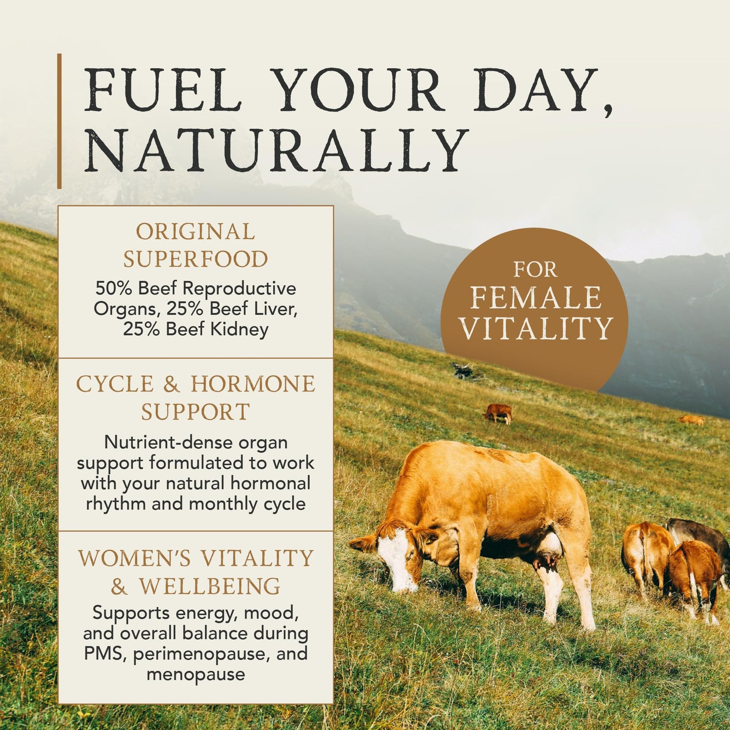 A | P | E APE Nutrition Organic Optimised Female | Hormonal & Reproductive Health Support & Balance for Women | 100% Grass-Fed Desiccated Beef Organs | Ancestral Supplements for Women | 180 Capsules