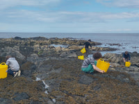 Vitamins and Minerals Dulse Seaweed Capsules Certified Organic Harvested on The North Atlantic Coast of Ireland