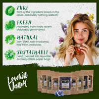 Lowhill Valley Catuaba Bark - Erythroxylum catuaba Herbal Support for Neurological Wellness – No Additives or Preservatives – Responsibly Sourced –100g