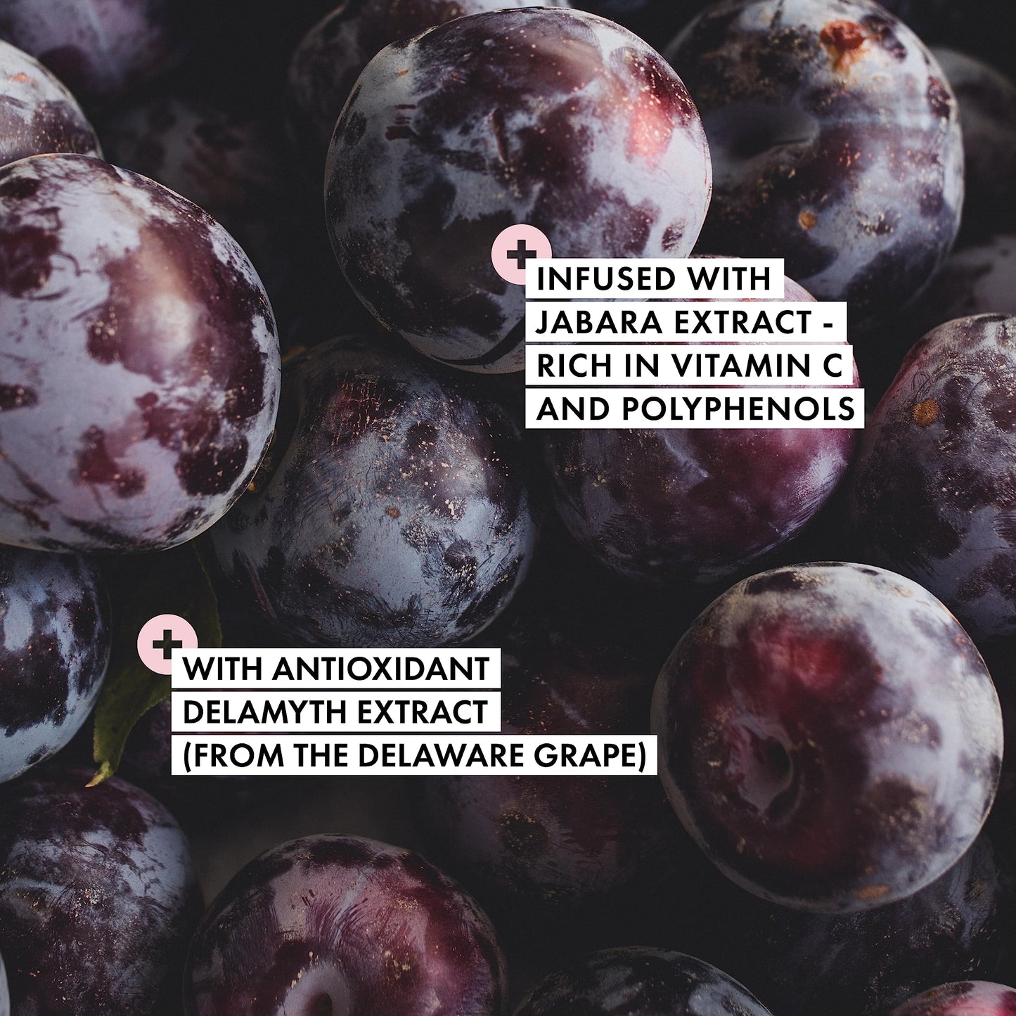 Beauty Pie Japanfusion™ Power Elixir Moisturiser, Antioxidant Vitamin C Face Cream, Deeply Hydrate & Protect Skin, 50ml, Made in Japan, Suitable for all Skin Types