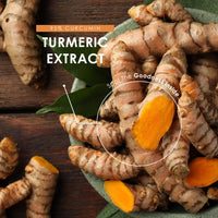 ALPHA01 Turmeric Curcumin 95 Tablets 3000mg with BioPerine® & Ginger – High Strength 95% Curcuminoids Supplements from 60:1 Turmeric Root Extract – 90 Vegan Capsules – by Alpha01