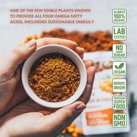 LOOV Organic Sea Buckthorn Powder, High in Fibre, Made from 100% Whole Berries, 113 g, Grown in Nordic Climate, Rich in Omega Blend, Vitamin C, Vitamin E, 23-Day Supply, No Added Sugar, Non-GMO