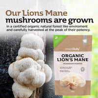 Organic Lions Mane Mushroom Powder - 100g High Strength Full Spectrum Lions Mane Supplement to Support Brain & Mental Performance by Inner Vitality, 100.00 g (Pack of 1)