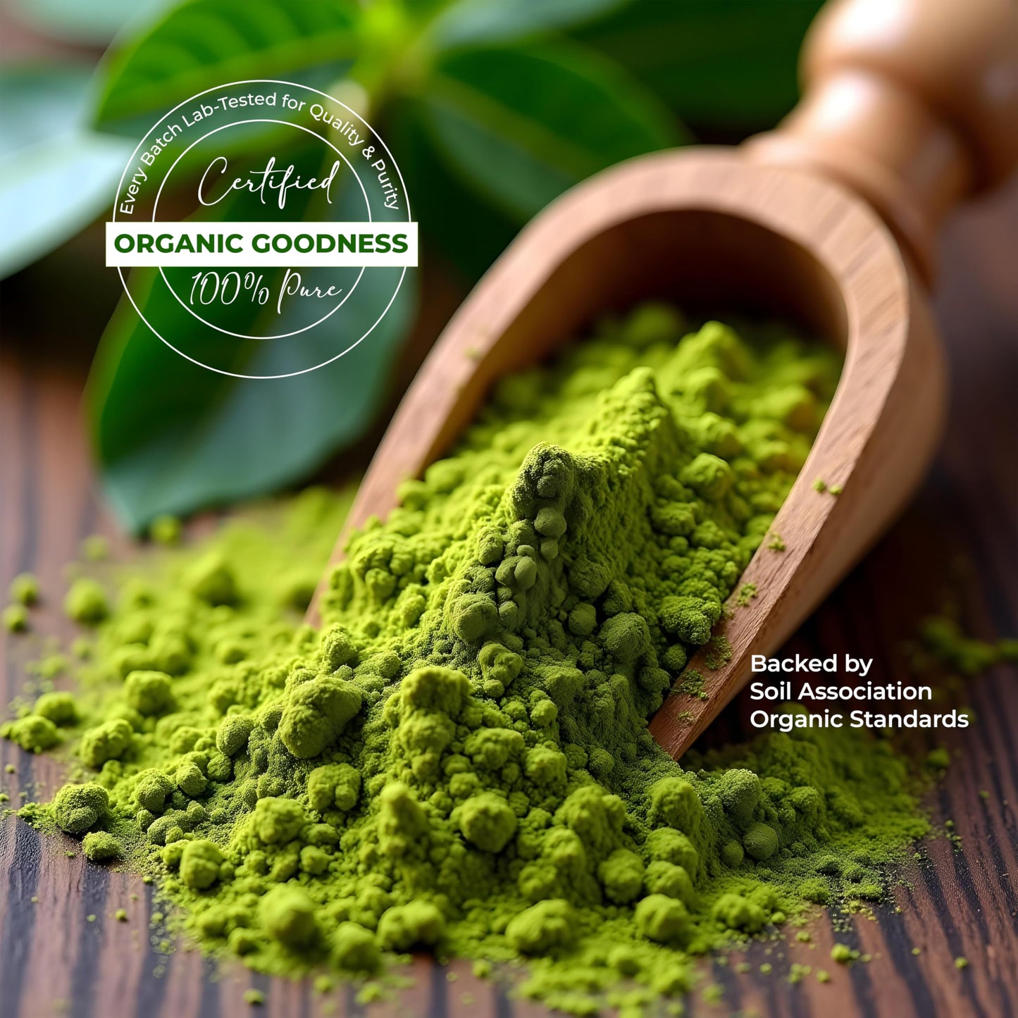 MySuperfoods Organic Moringa Powder 200g, Rich Source of Vitamin A & Riboflavin