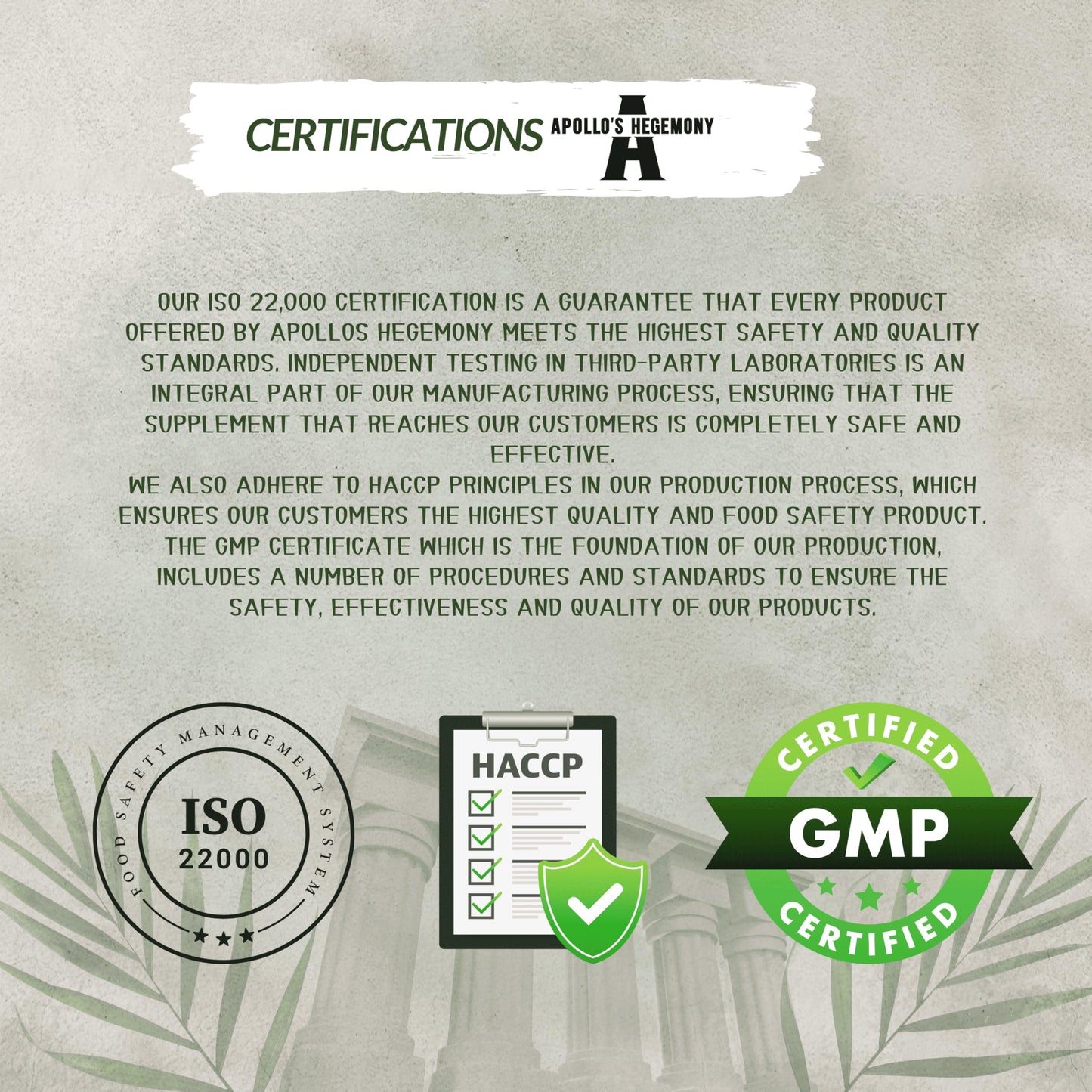 Magtein® Magnesium L-Threonate 144 mg per Daily Dose - 90 Vegan Capsules - 30-Day Supply - for Cognitive Function Support - by Apollo's Hegemony