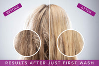 Argan Blonde No Yellow Purple Shampoo & Conditioner For Blonde, Grey & Highlighted Hair (250ml Duo) Silverising Shampoo With Argan Oil To Remove Yellow & Brassy Tones